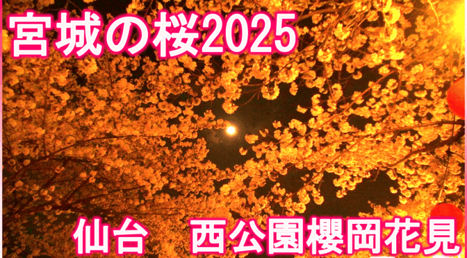 「【宮城の桜2025】仙台 西公園櫻岡花見 2025/04/11」の動画を公開しました